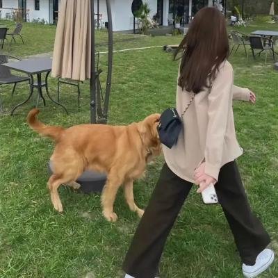 诱狼